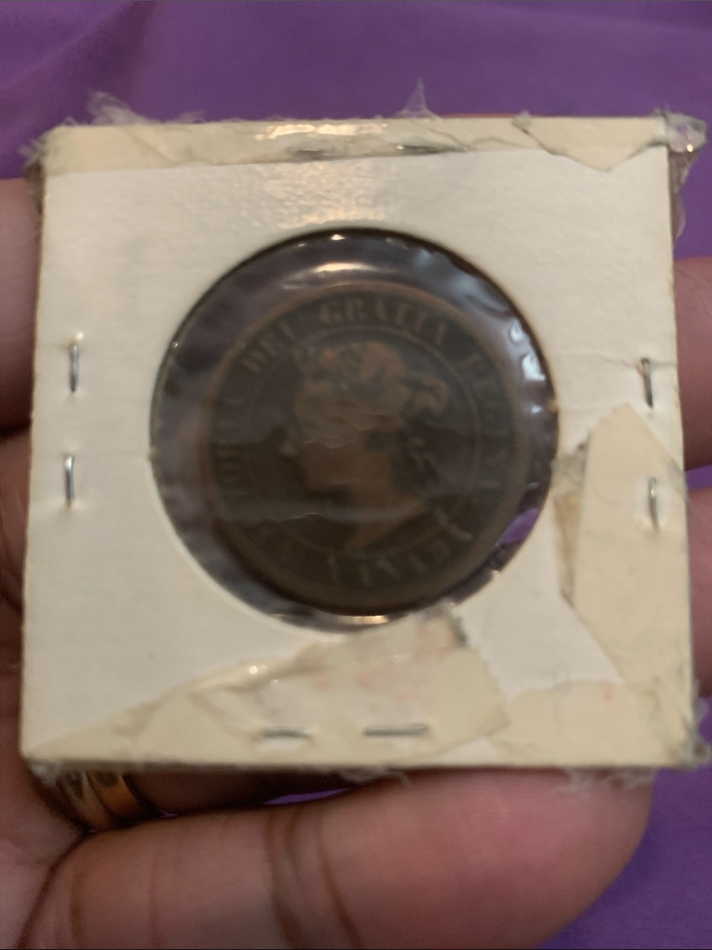 1884 Large Canadian Penny - Picture 4 of 7